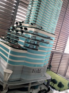 IMG_2655