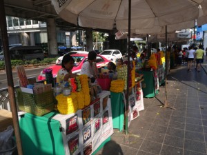 P1090484rcdmr