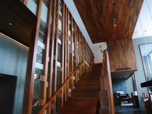 P1090526rcdmr