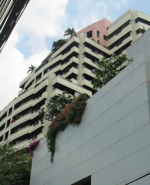 Mayfair Garden