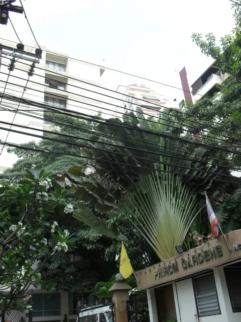 Phirom Gardens
