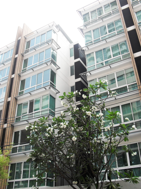 Belgravia Residence